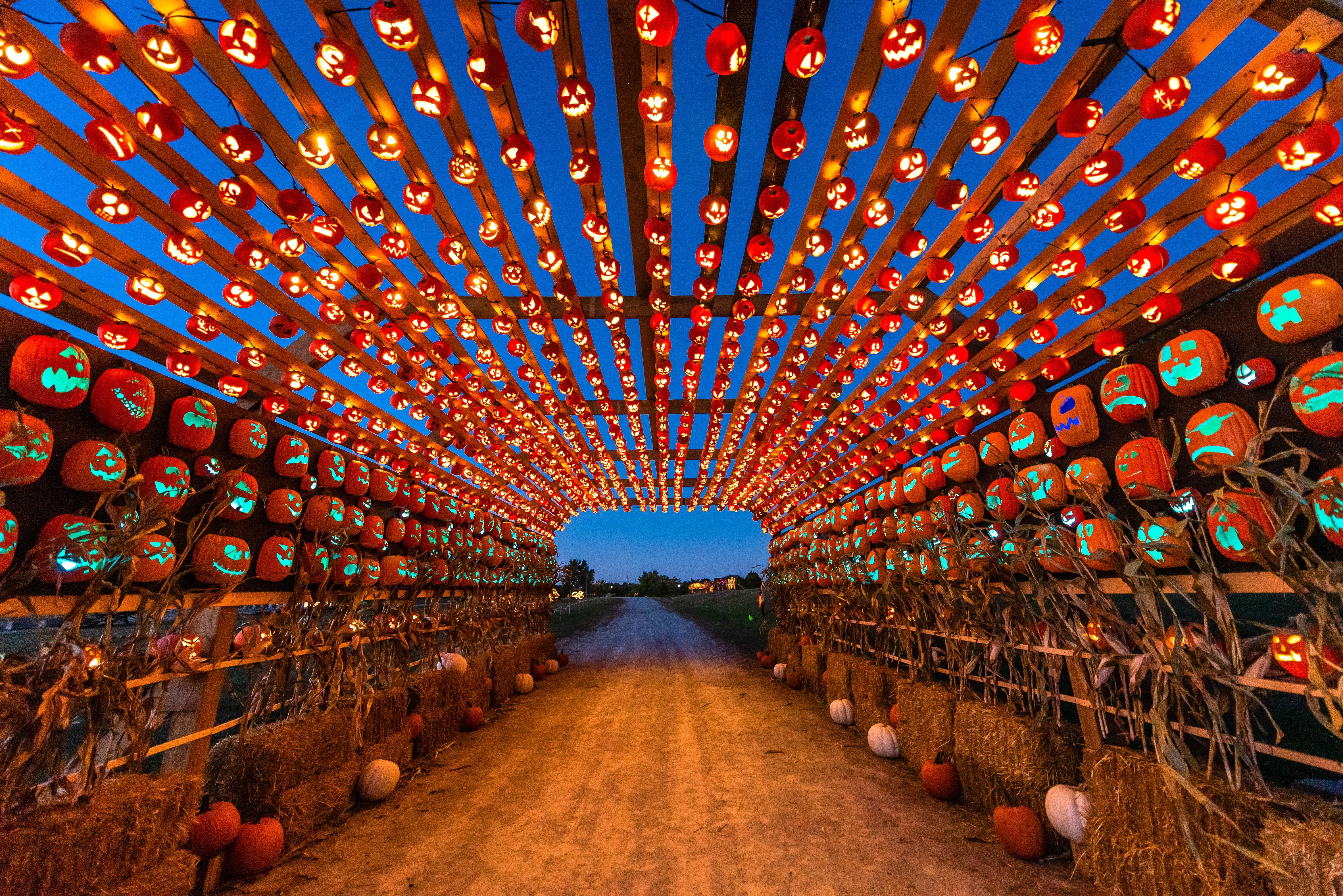 Pumpkins Arch