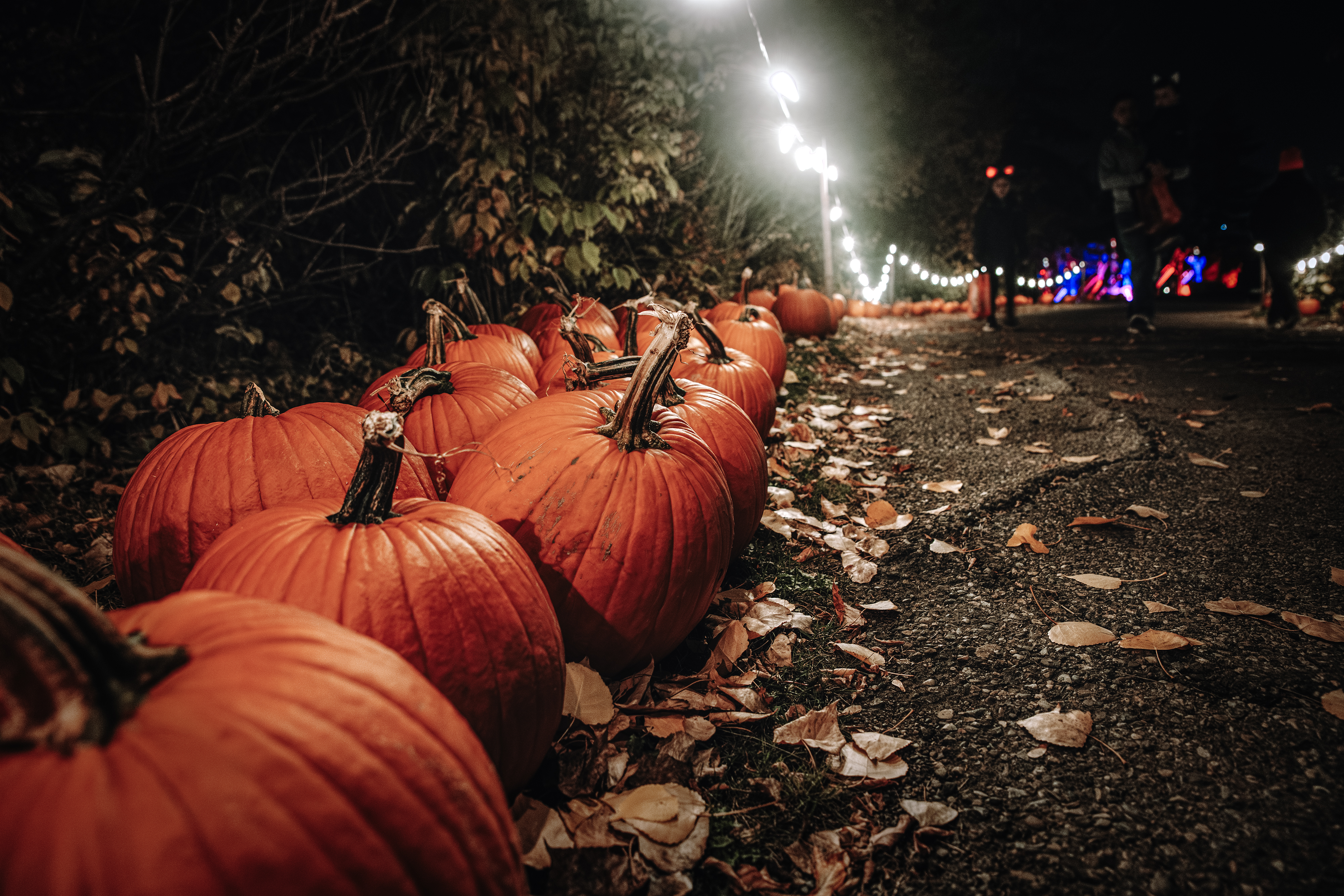 2023_PumpkinsAfterDark_jedmund-09.jpg